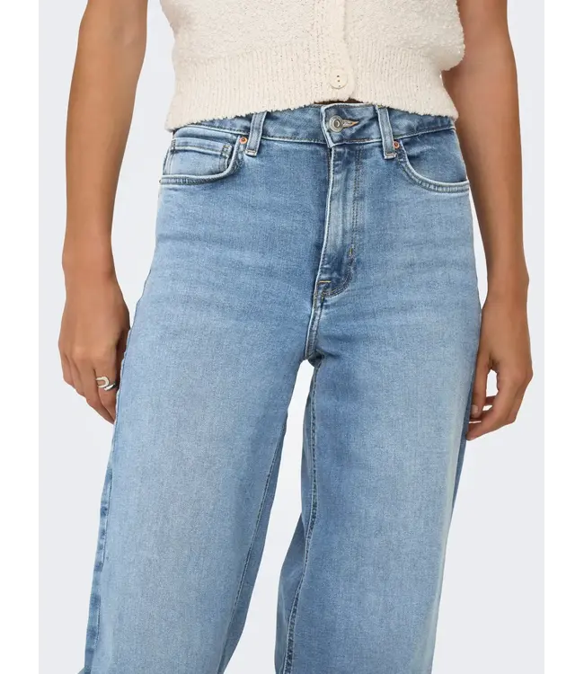 Madison Blush High Waist Wide Denim Jean
