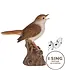 Motion Activated Singing Nightingale Standing On Stump