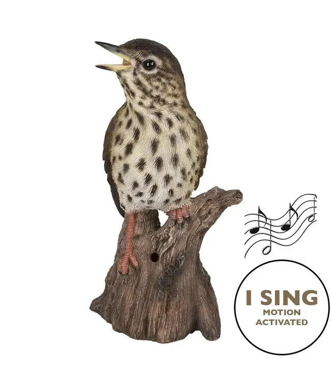 Songbird Standing On Stump W/Sound Motion Sensor
