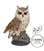 Motion Activated Singing Long Eared Owlet Standing On Stump