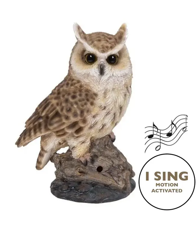 Motion Activated Singing Long Eared Owlet Standing On Stump
