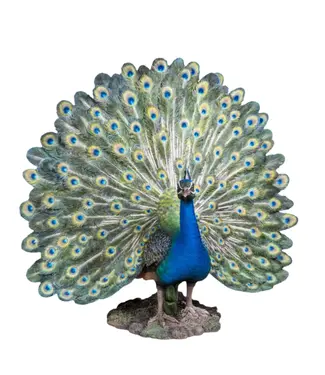 Hi-Line Gift Ltd. Peacock W/Feathers Out Statue