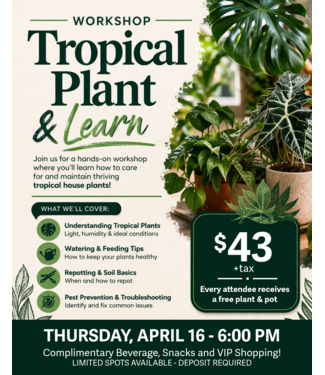 Tropical Plant & Learn Workshop - April 16 - 6pm (DEPOSIT ONLY)