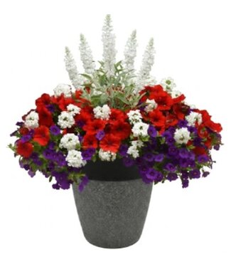 Livingstone Modern Round Feature Planter 13in [10]