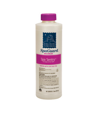 BIOGUARD SpaGuard Spa Sentry