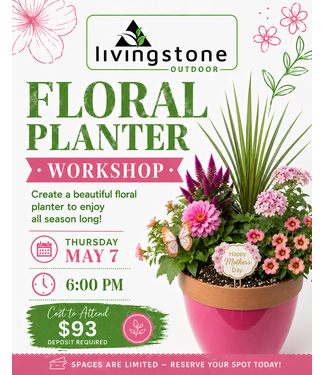 Floral Planter Workshop - May 7 - 6pm (DEPOSIT ONLY)
