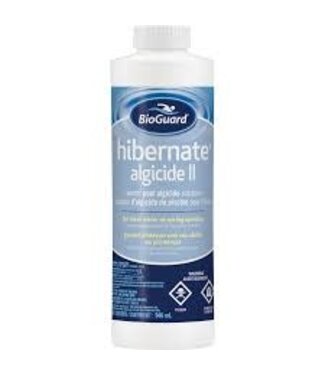 BIOGUARD BioGuard Hibernate Algicide II 946mL