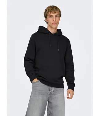 ONLY & SONS Ceres Sweat Hoodie