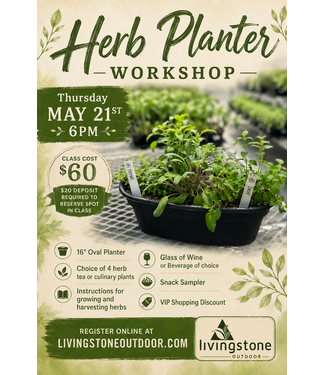 Herb Planter Workshop - May 21 - 6PM (Deposit Only)