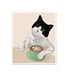 Cat & Latte Dishcloth