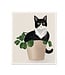 Cat in Plant Dishcloth