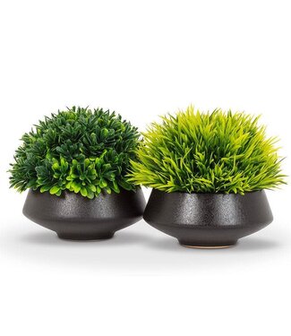 Abbott Collection Grassy Plant in Low Pot