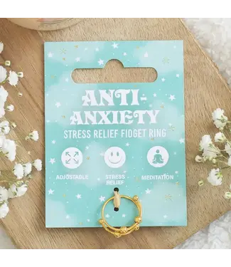Something Different Wholesale Rain or Shine Anti-Anxiety Fidget Ring