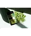 Organic Matcha 60g