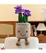12” Smiling Hyacinth Plush