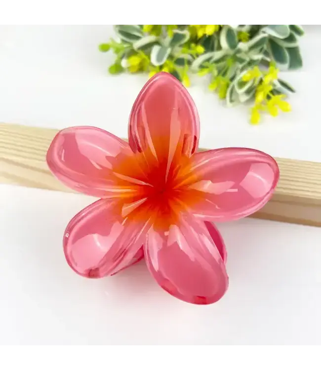 Colorful Plumeria Hair Clip