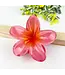 Colorful Plumeria Hair Clip