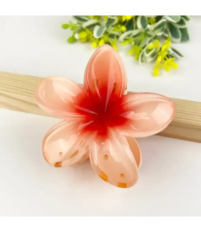 Colorful Plumeria Hair Clip