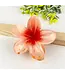 Colorful Plumeria Hair Clip