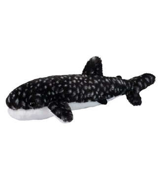 Douglas Company Inc. Barnacle Whale Shark