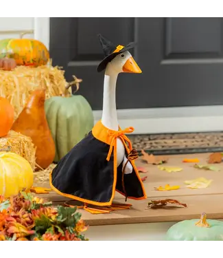 My Evergreen Giddy the Goose Outfit - Witch