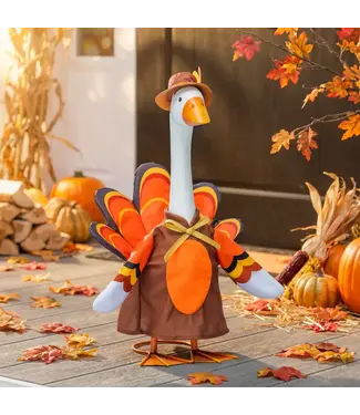 My Evergreen Giddy the Goose Outfit - Turkey