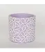 Cement Flower Pot Flowers