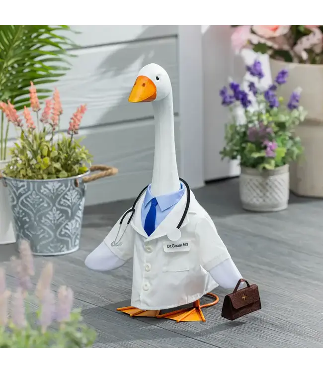 Giddy the Goose Outfit - Doctor
