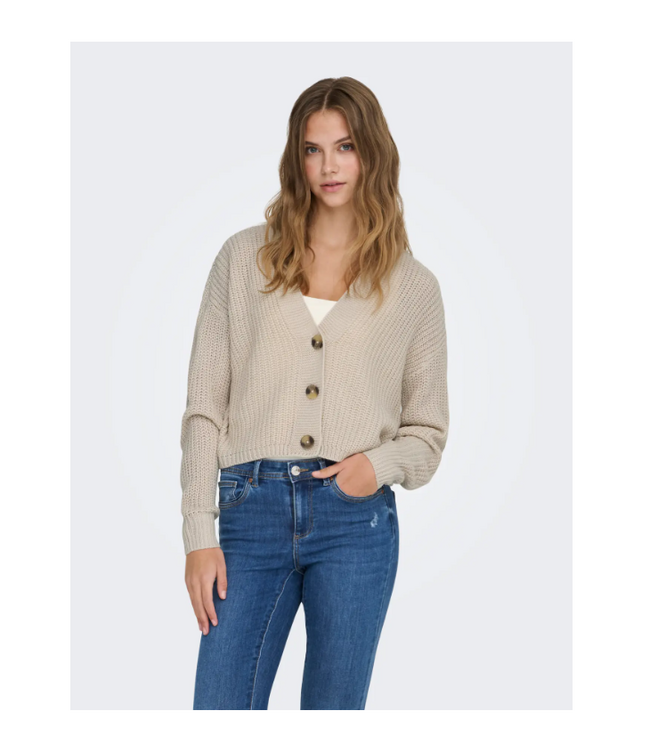Carol Long Sleeve Knit Cardigan Pumice Stone