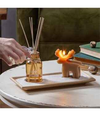 Evergreen Shades of Emerald Candle and Diffuser - Eucalyptus Pine Forest