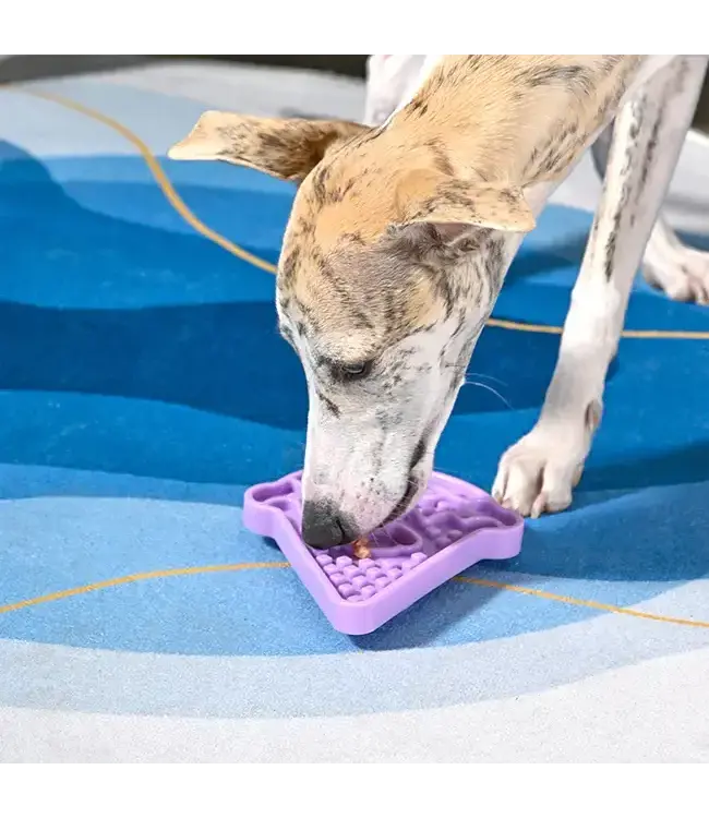 Dog Bowl Pet Lick Mat - Ice Cream