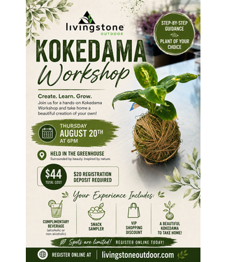 Kokedama Workshop - August 20th 6pm (DEPOSIT ONLY)