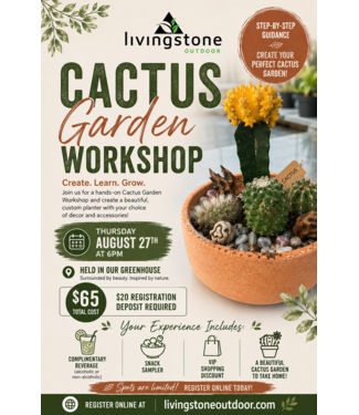 Cactus Garden Workshop - August 27th 6pm (DEPOSIT ONLY)
