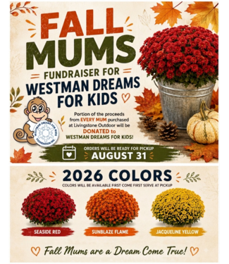 Livingstone Fall Mums Fundraiser for WDFK