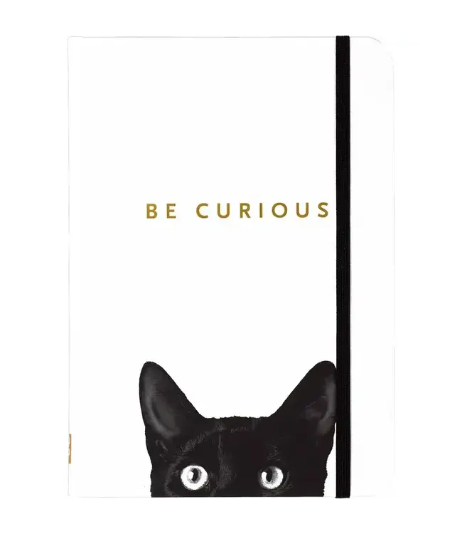 Curious Cat Journal