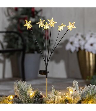 Evergreen Pearl and Pine Garden Stake, Star Solar Garden Stake