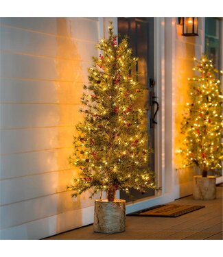 Evergreen Shades of Emerald 60H Lit Artificial Christmas Pine Tree with Resin Birch Pot
