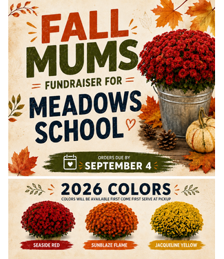 Livingstone Fall Mums Fundraiser for Meadows School