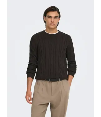 ONLY & SONS Kim Long Sleeve Cabel Crew