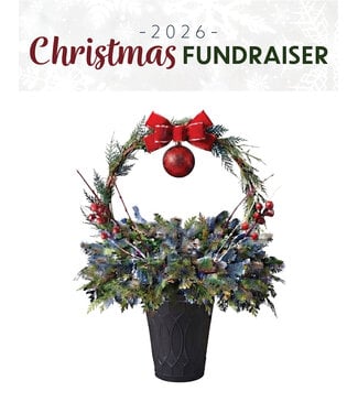Livingstone (A) Winter Planter