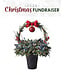 Livingstone (A) Winter Planter