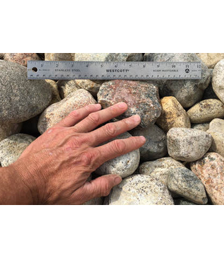 Livingstone 3-6" Fieldstone