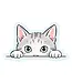 Peeking Cat Vinyl Sticker