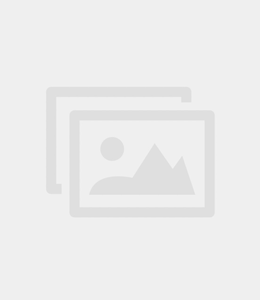 Paeonia lactiflora 'Mde. Emil Lemoine'- #1 (1 Gallon) [2]