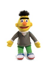 Sesame Street Bert