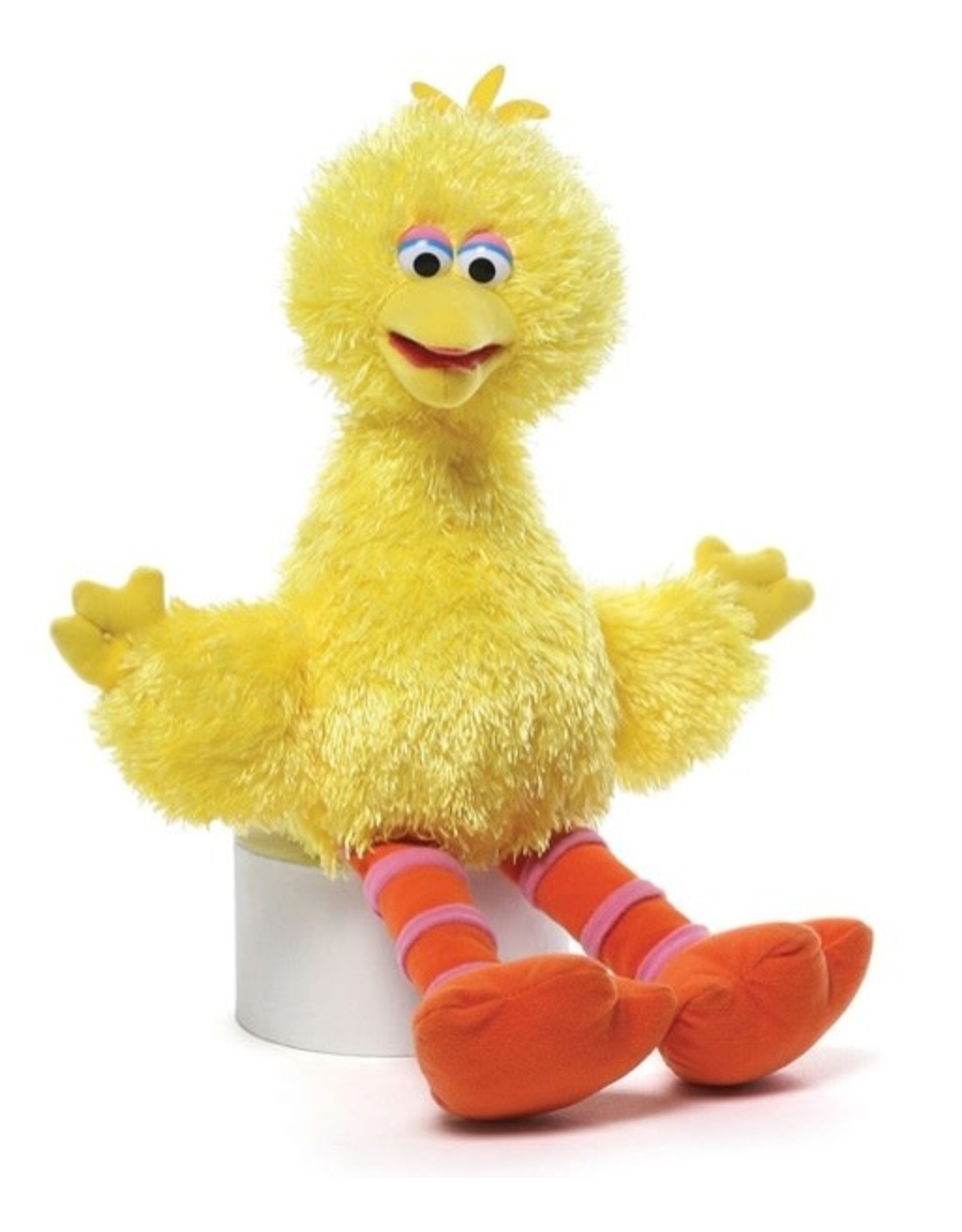 Sesame Street Big Bird