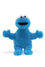 Sesame Street Cookie Monster