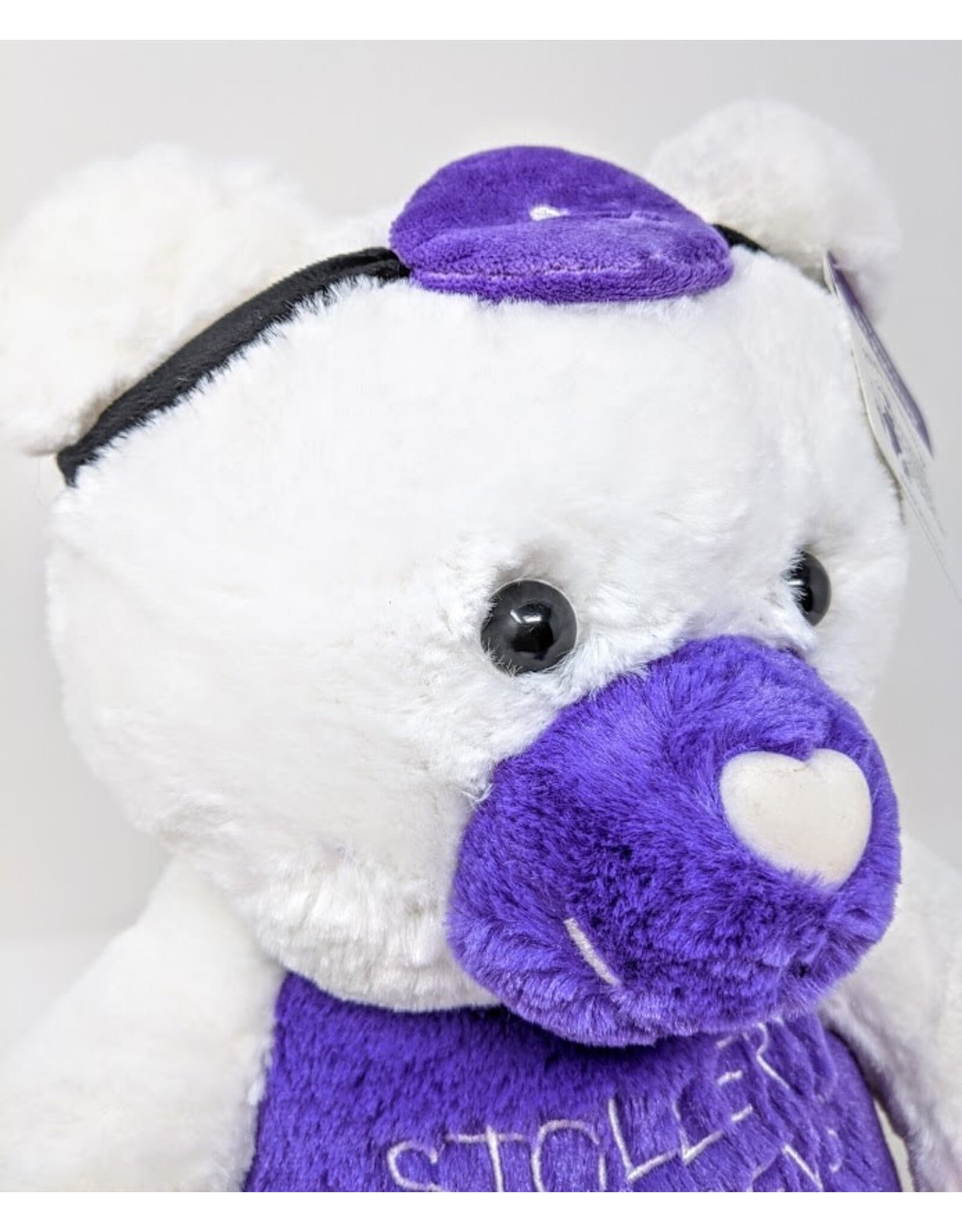 GUND Dr. PatchUp Bear Small