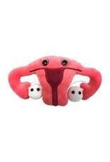 Uterus