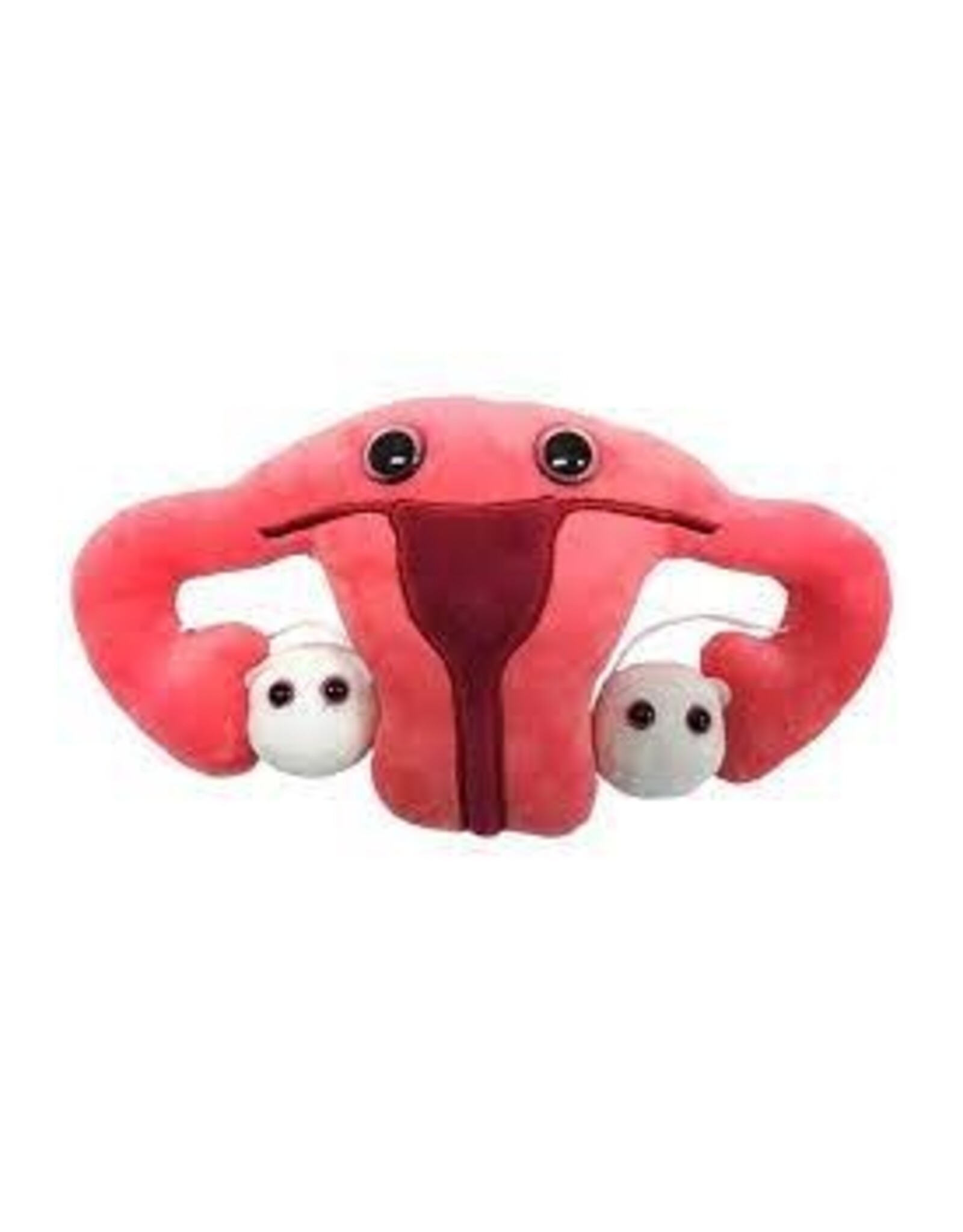 Uterus